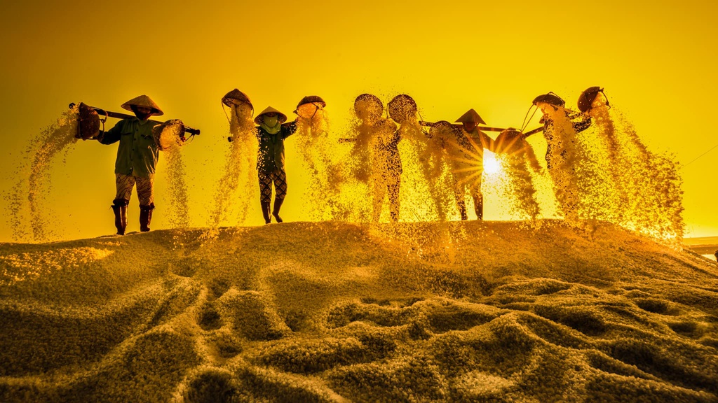 La beauté des villages de métiers traditionnels du Vietnam