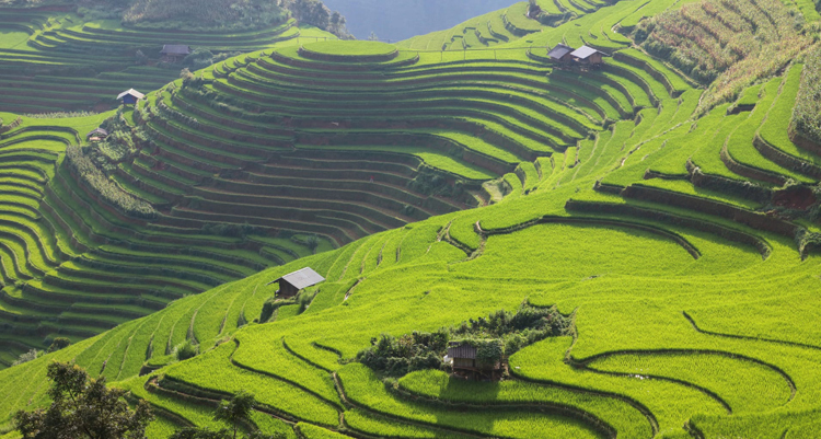 Mu Cang Chai, destination pour 2020