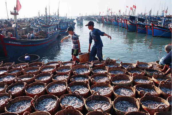 Création d’un comité national sur la stratégie de développement durable de l économie marine
