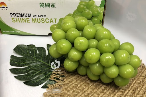 Le Vietnam est le plus grand marché d importation de raisins sud-coréens
