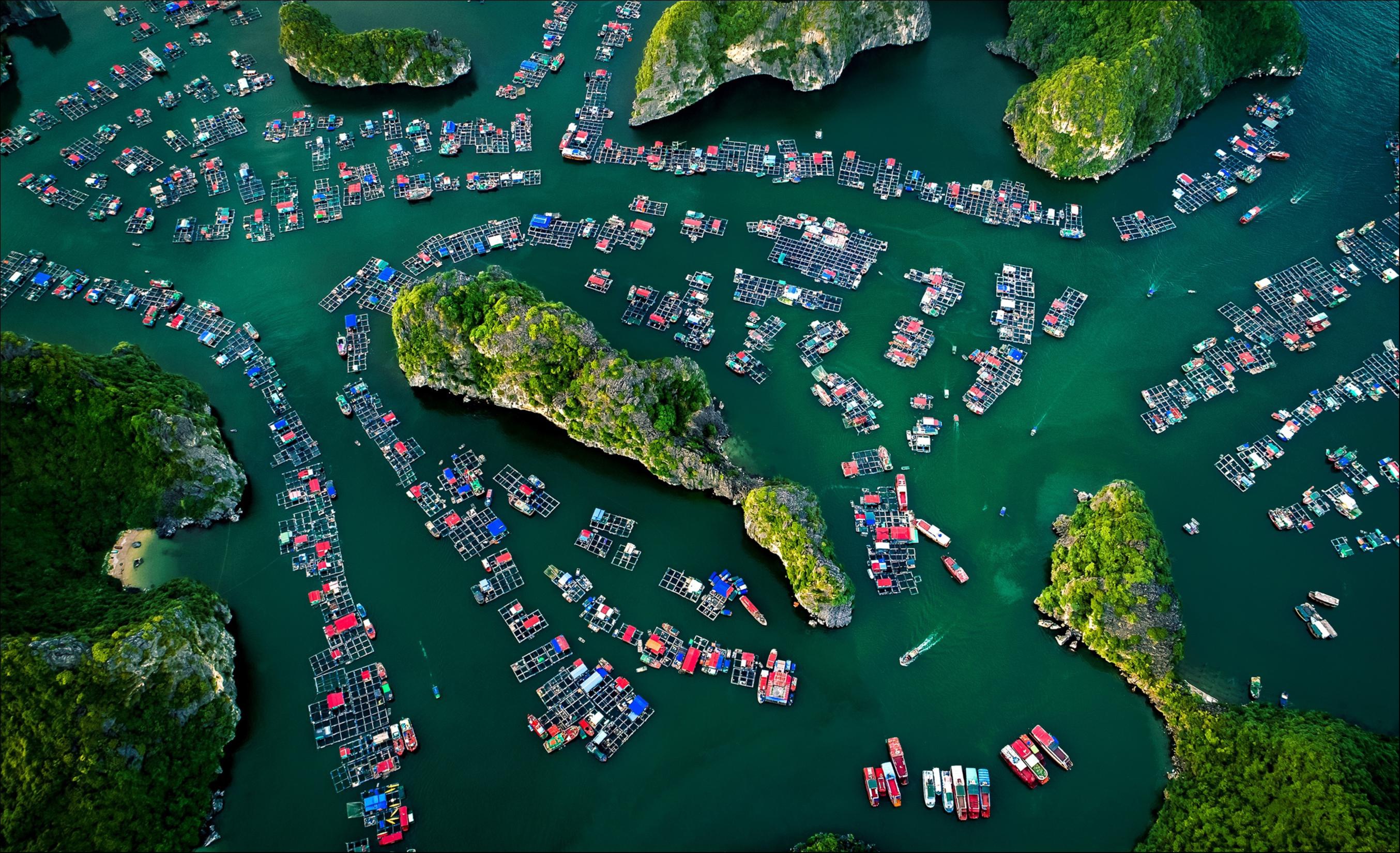 Le Vietnam parmi les premières destinations pour les tendances de voyage en 2020