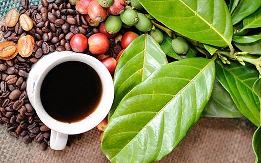 Buôn Ma Thuôt le café servi sur les Hauts Plateaux du Centre