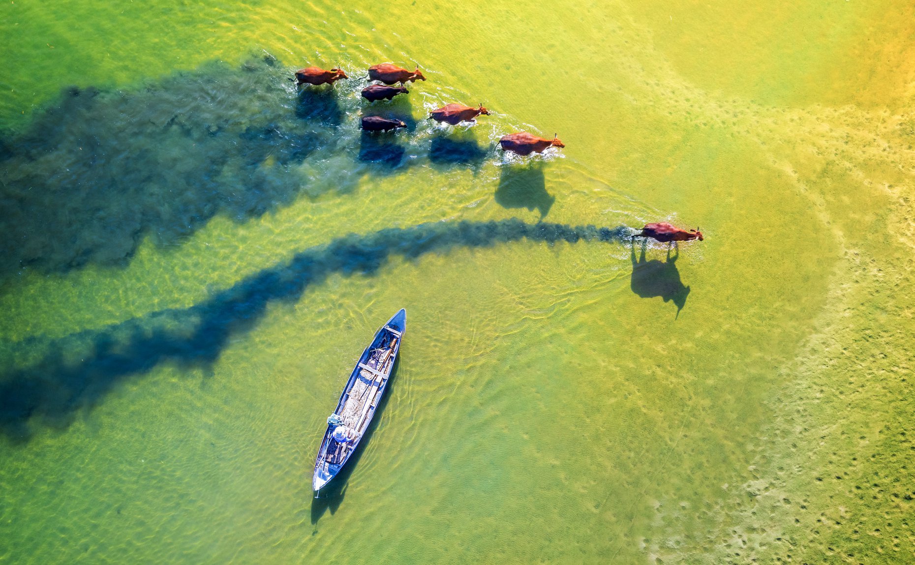Les zones rurales de Quang Ngai captivent les touristes
