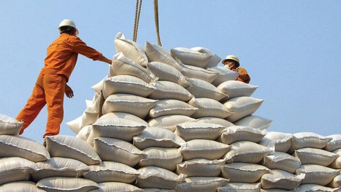 Hausse de près de 600 des exportations nationales de riz vers la Chine