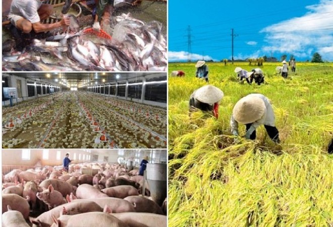 Le secteur agricole national durement impacté par le Covid-19