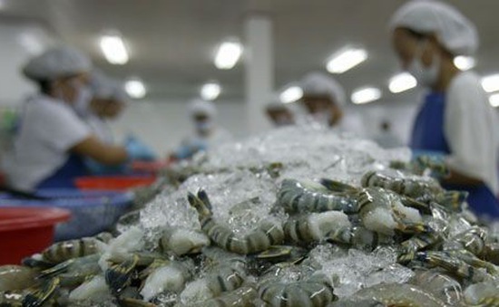 Hausse des exportations de crevettes les deux premiers mois de l’année