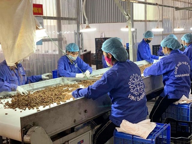 COVID-19  les entreprises vietnamiennes s’efforcent de surmonter les difficultés