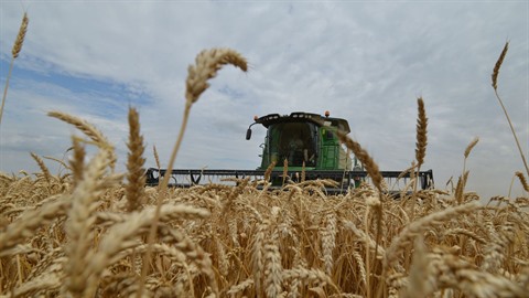 La Russie limite ses exportations de céréales