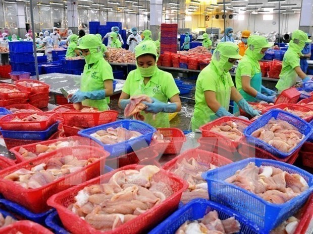 BAD La croissance économique du Vietnam prévue à 4,8 en 2020