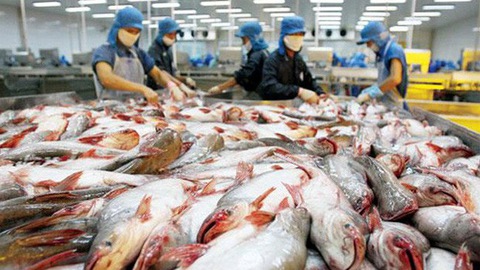 Exportations de pangasius de bons signes des grands marchés