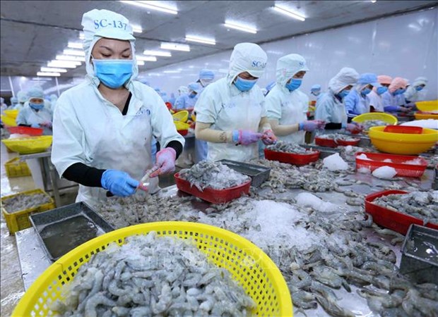 Les exportations de crevettes vers les États-Unis en hausse de 18,2 au 1er trimestre
