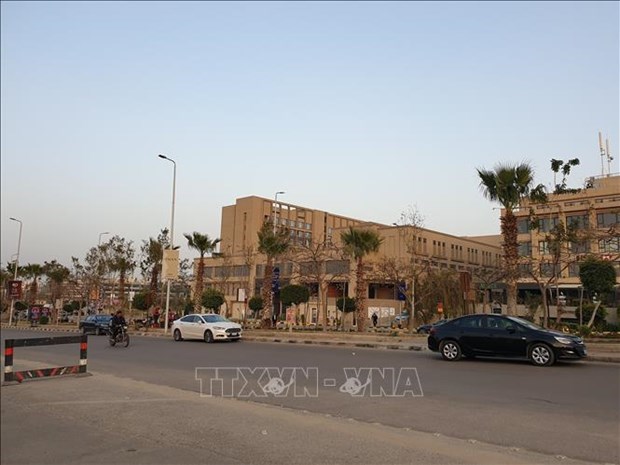 Les Vietnamiens en Égypte s’unissent au moment de la pandémie de COVID-19