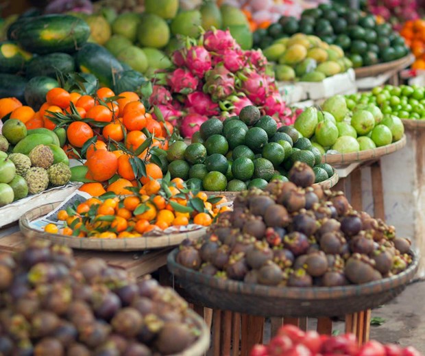 Fruits et légumes  les exportations atteignent 836 millions de dollars en trois mois