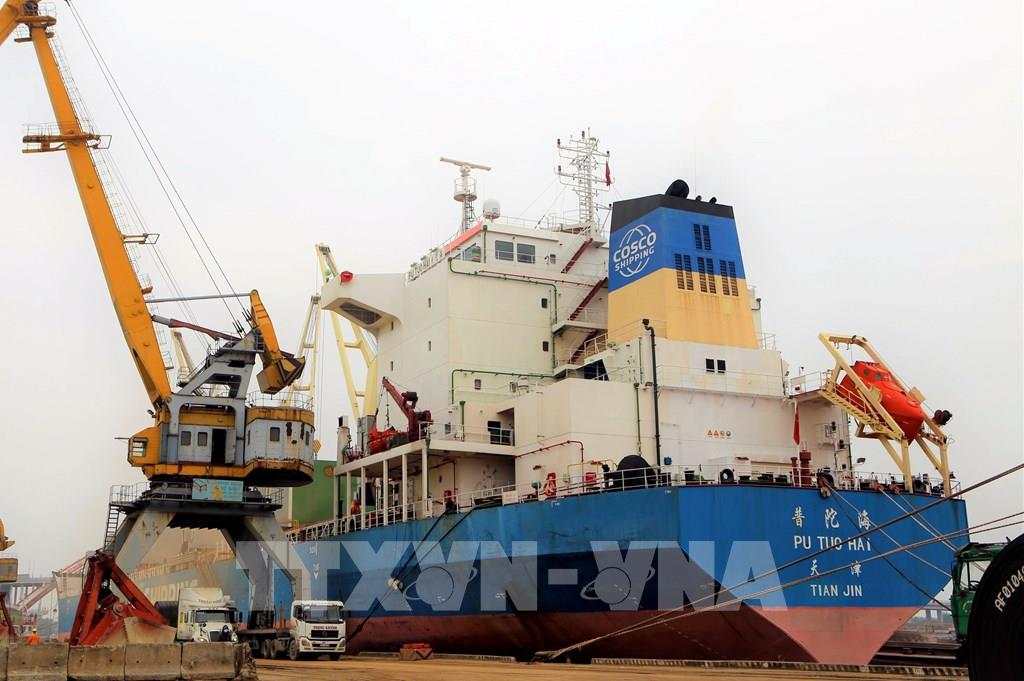 Trois grands navires jettent l’ancre au port de Hai Phong