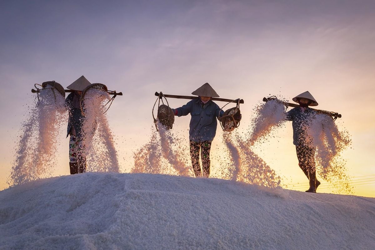 Des photographes vietnamiens primés à un concours international de photos