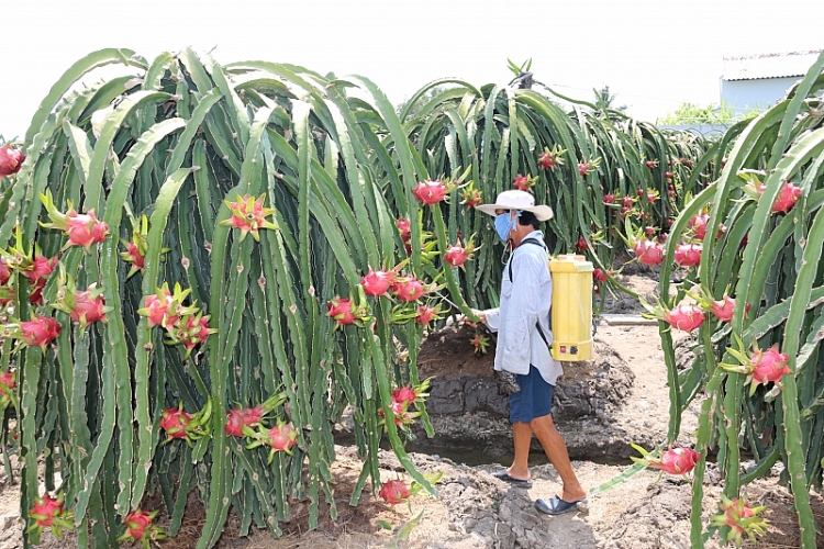 Vietnam et Chine cherchent à promouvoir le commerce des produits agricoles