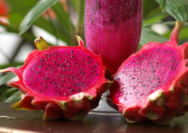 Promotion du fruit du dragon à chair rouge vietnamien en Australie