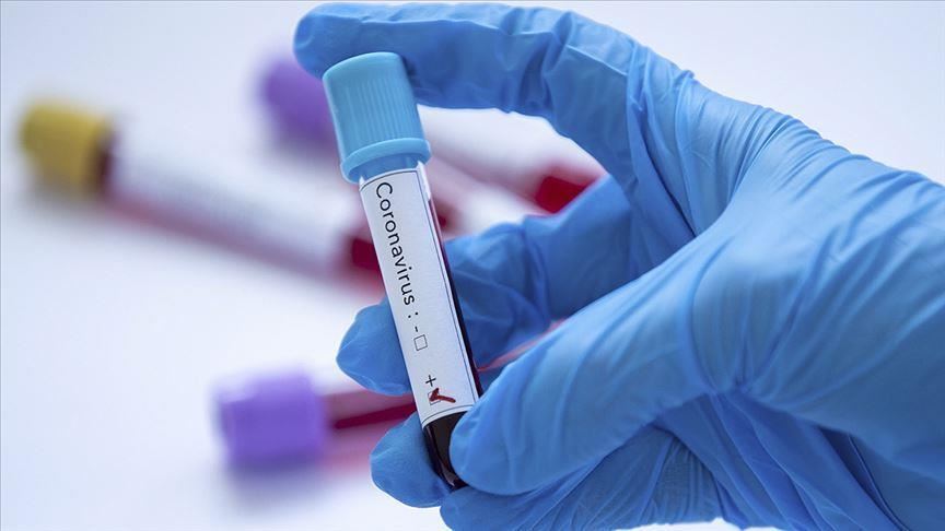 COVID-19 en Inde  le nombre de décès est passé à 507