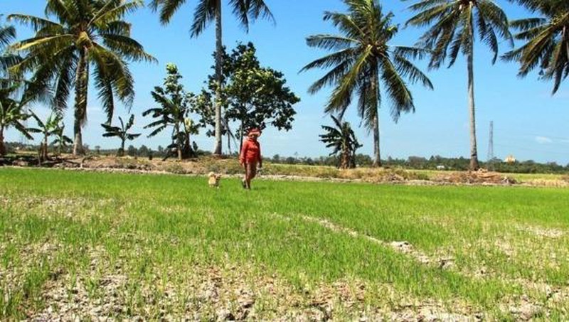 L’UE et la France soutiennent le Vietnam dans la résilience face au changement climatique