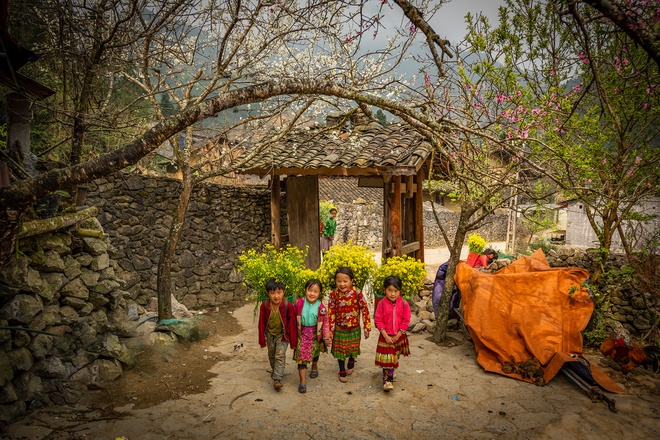 Découverte de la beauté du Vietnam via des clips sur la nature et les gens