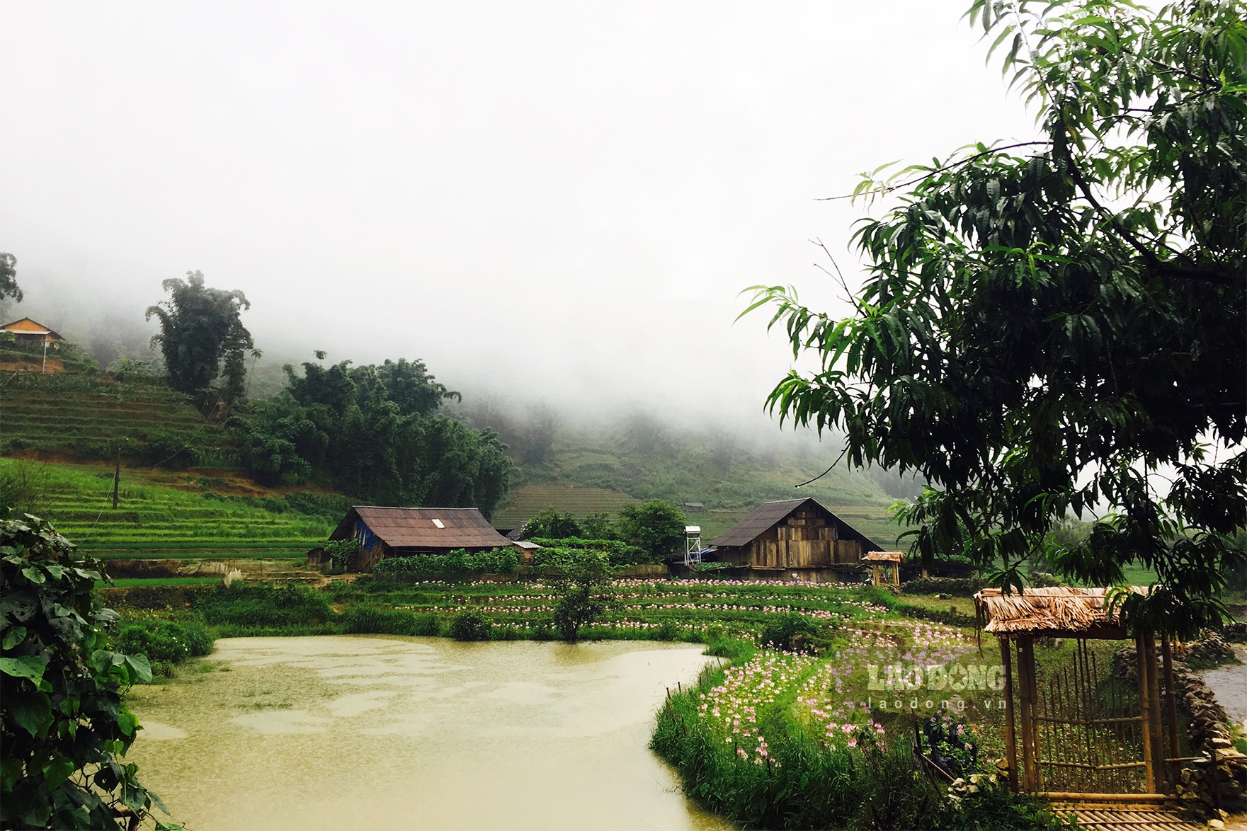 SCMP salue la beauté impressionnante d’un village du Vietnam