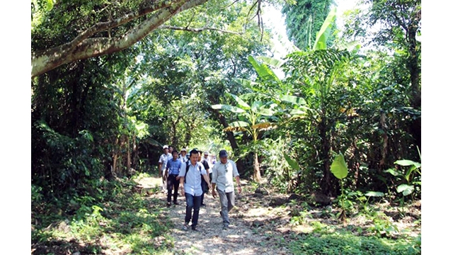 Quang Tri relance le tourisme maritime et insulaire
