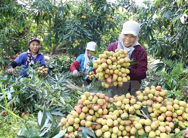 Le média allemand le Vietnam optimiste sur ses perspectives économiques