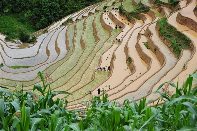 Yên Bai  Bientôt les activités touristiques de la Saison d’eau 2020