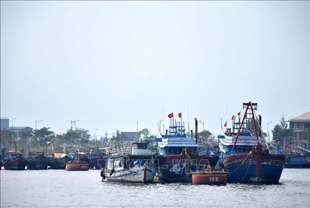 Planifier le système des ports de pêche et des zones d abri pour les navires de pêche