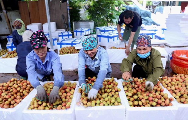 Le Vietnam dispose de nombreuses opportunités d affaires avec Singapour