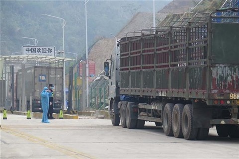 Le dédouanement reprend à la porte-frontalière Tan Thanh - Po Chai