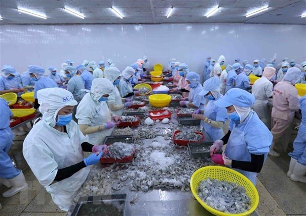 Les exportations de crevettes devraient atteindre 3,8 milliards de dollars en 2020