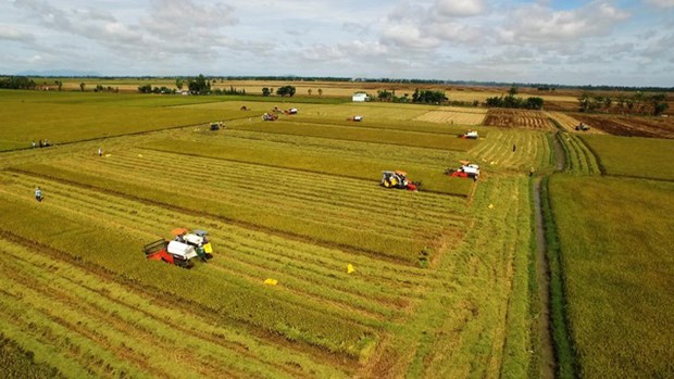 Agriculture  le Vietnam ambitionne de figurer parmi les 15 pays les plus développés du monde