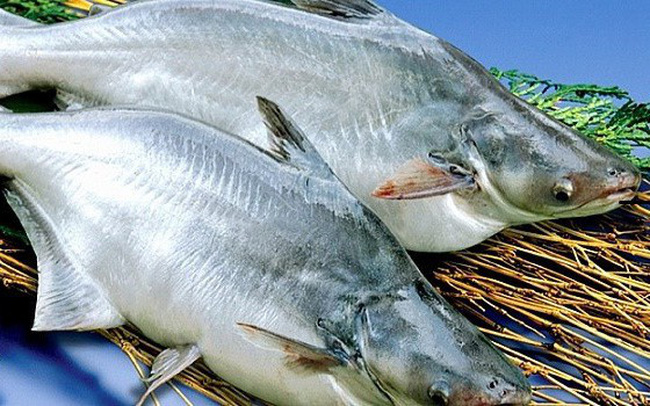 Forte baisse des exportations de poisson tra