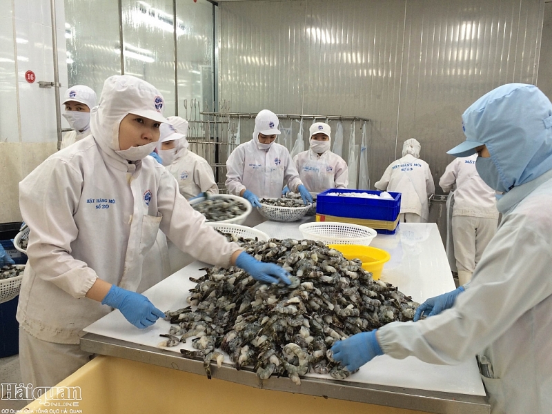 Forte hausse des exportations vietnamiennes de crevettes aux Etats-Unis