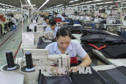 La presse européenne souligne la ratification de l EVFTA par le Vietnam
