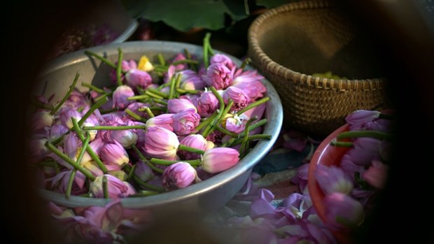 Le thé au lotus ou l’élégance hanoienne