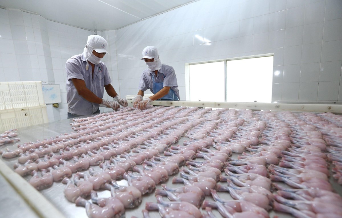 Les relations commerciales Vietnam-Royaume-Uni bénéficient de l EVFTA