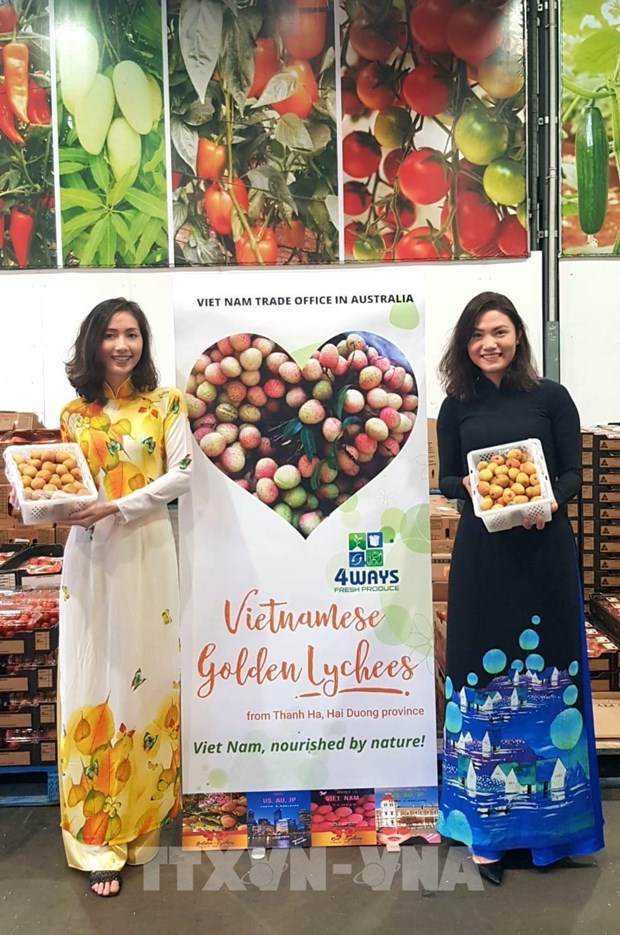 Le premier lot de litchi U hông du Vietnam est arrivé en Australie