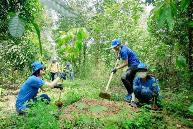 Le Vietnam prêt à mener à bien le REDD+