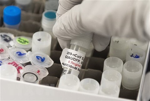 Coronavirus  feu vert du Parlement européen à la mise au point plus rapide de vaccins
