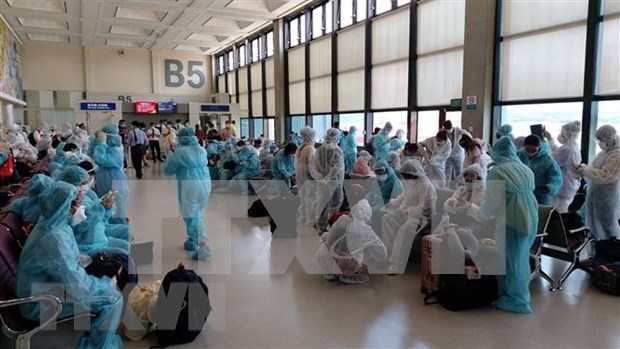 Coronavirus Rapatriement de plus de 240 citoyens vietnamiens de Singapour