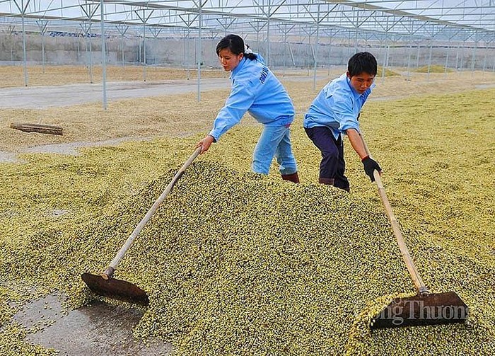 Élargir les exportations vers le marché chinois