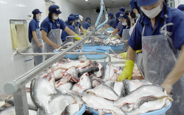 Pangasius Hausse des exportations nationales à Singapour et au Royaume-Uni