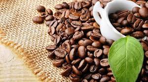 Café plus de 1,6 milliard de dollars d’exportation au 1er semestre