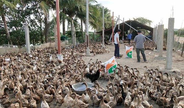 Le Cambodge exhorte les chômeurs touchés par le Covid-19 à se lancer dans l’agriculture