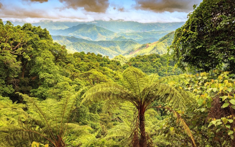 Création de la réserve naturelle de Dong Chau-Khe Nuoc Trong dans la province de Quang Binh