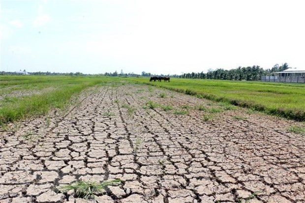 Dérèglement climatique plan pour rehausser la résilience et l adaptation du Vietnam