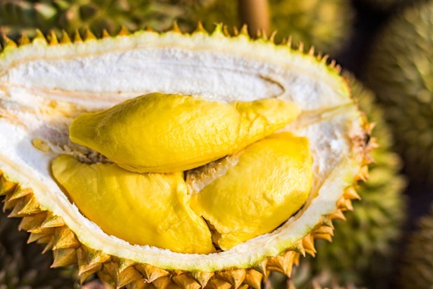 Promouvoir le durian vietnamien sur le marché australien