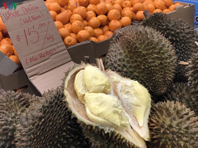 L’Australie, un marché prometteur pour le durian vietnamien